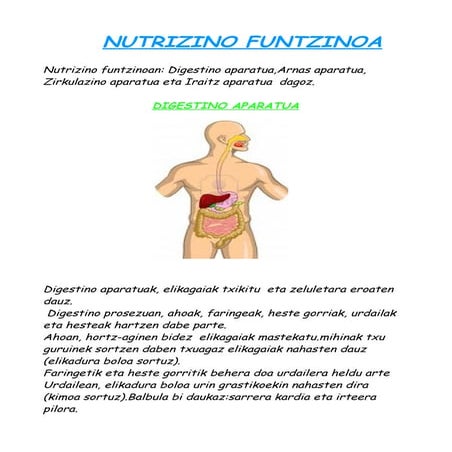 Nutrizino funtzinoa 1 aitor. gaia
