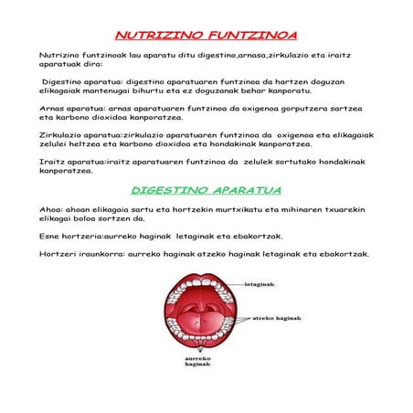 Nutrizio funtzinoa 2 naia