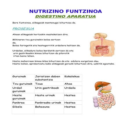Nutrzinoa izaro e