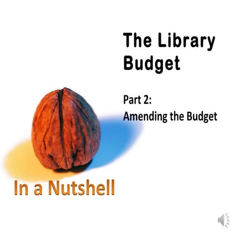 Amending the Budget (In a Nutshell)
