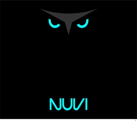 Nuvi social media strategy