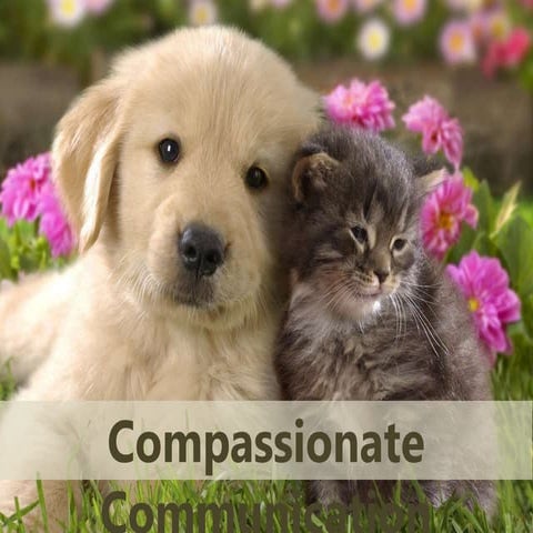 Compassionate Communication NVC & mediation ENG slides.pptx