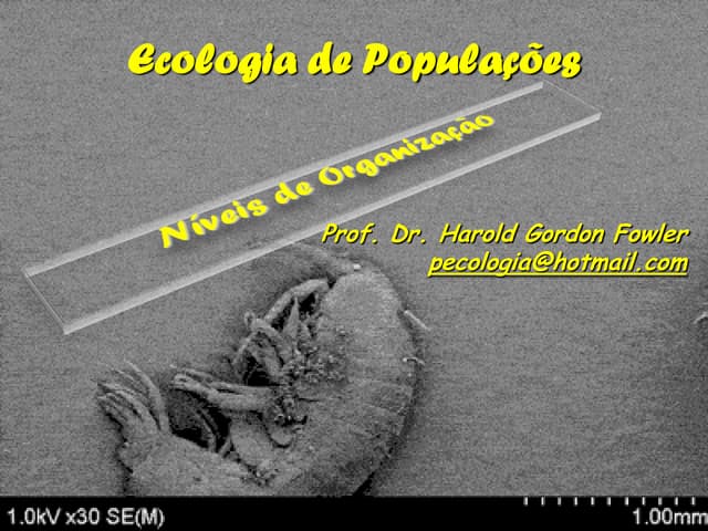 Níveis de organização