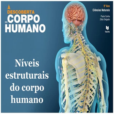 Níveis estruturais/organização do corpo humano