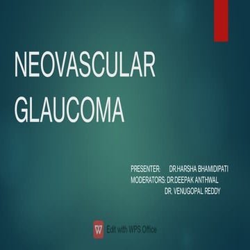 Neovascular glaucoma retinal aspects....
