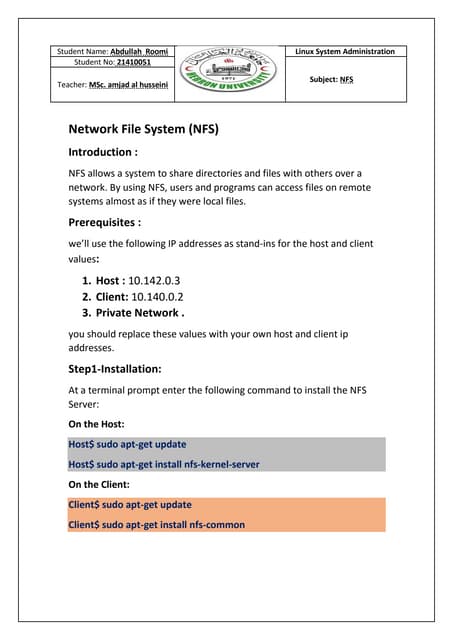 Network File System (NFS)