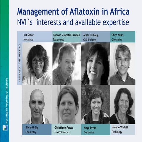 NVI`s interests and available expertise