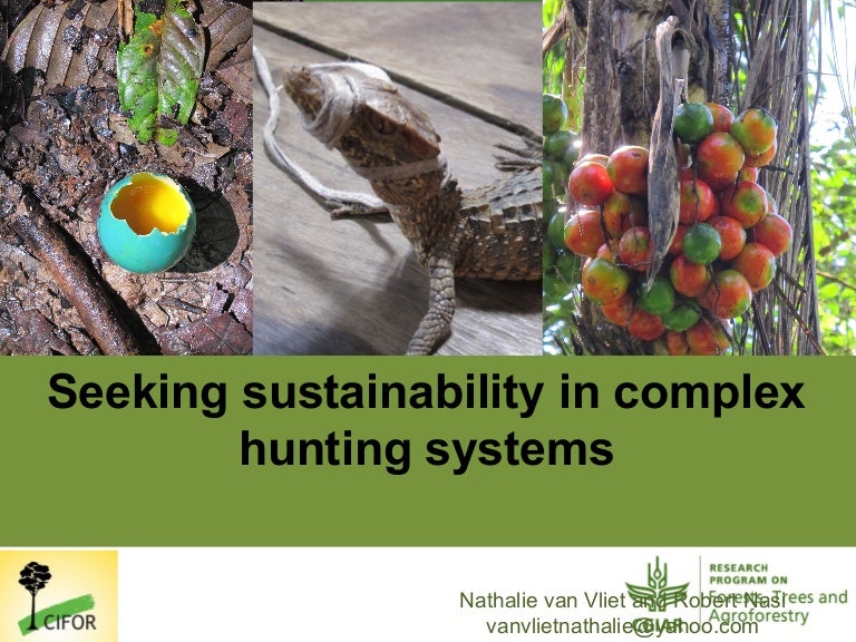 thumbnail of  Seeking sustainability in complex hunting systems