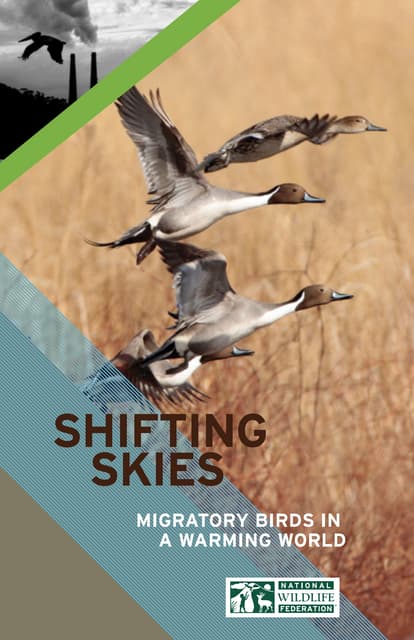 The Impact of Climate Change on Bird Migration | PDF