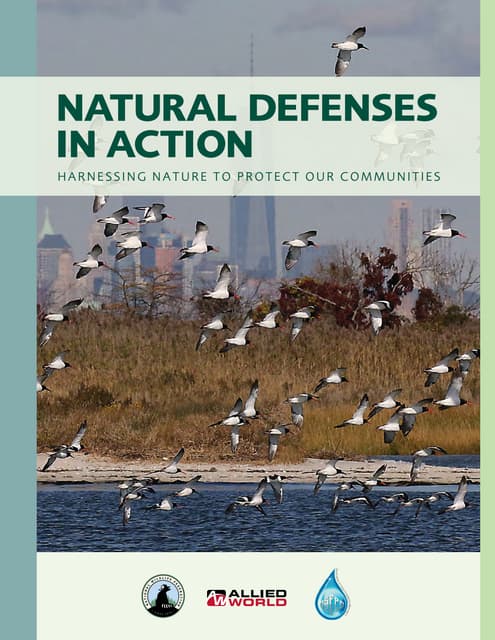 National Wildlife Federation's Natural Defenses in Action Report