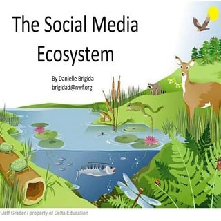 Mastering the Social Media Ecosyste...