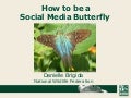 How To Be A Social Media Butterfly