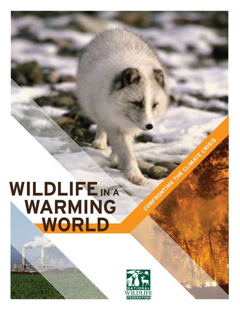 Wildlife in a Warming World: Confro...