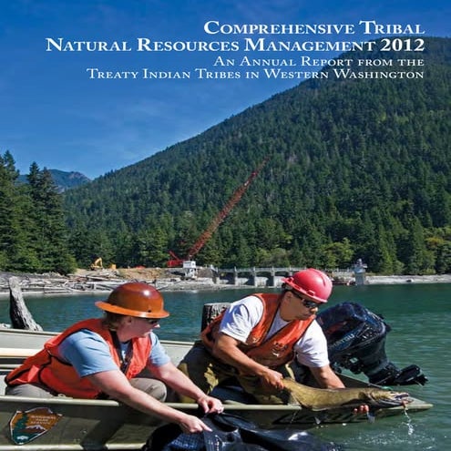 Comprehensive Tribal Natural Resources Management 2012 | PDF ...