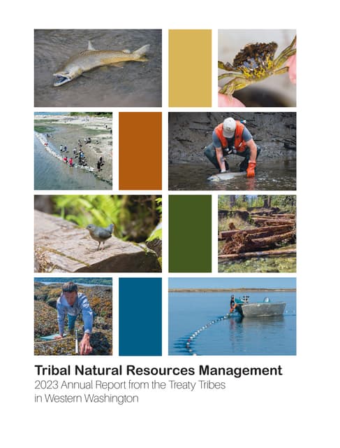 2024 Annual Report from the Treaty Tribes in Western Washington | PDF