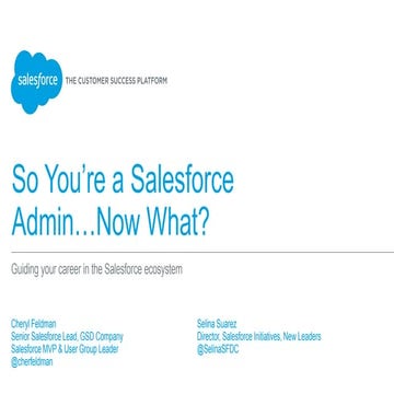 NYC Admin Zone: So You're a Salesforce Admin Now What?