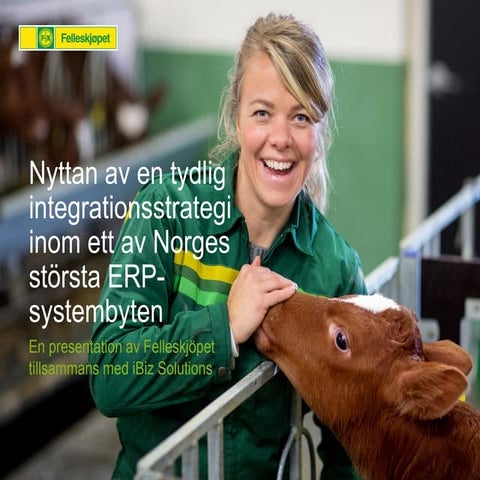 Nyttan av en tydlig integrationsstrategi