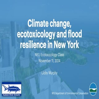 Climate change, ecotoxicology and f...