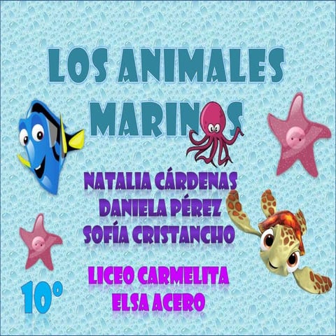 Animales marinos