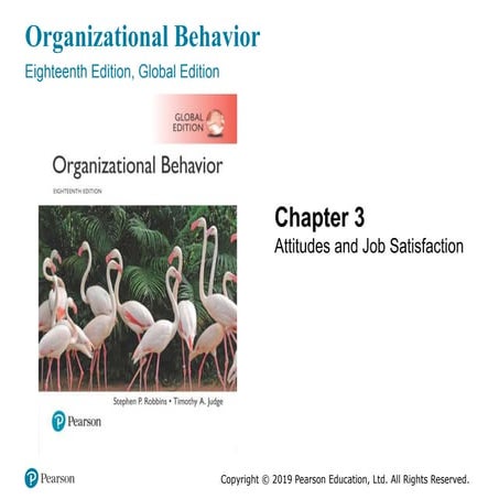 organizational behavior chapter 3 OB.