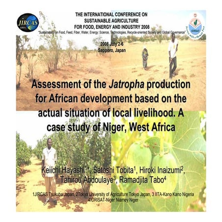 Assessment of the Jatropha production for African development based on the ac...