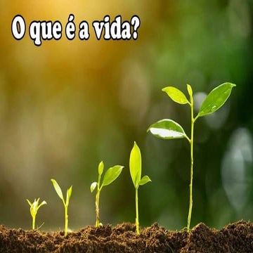 O que é a vida, uma apresentação para aulas | PPTX