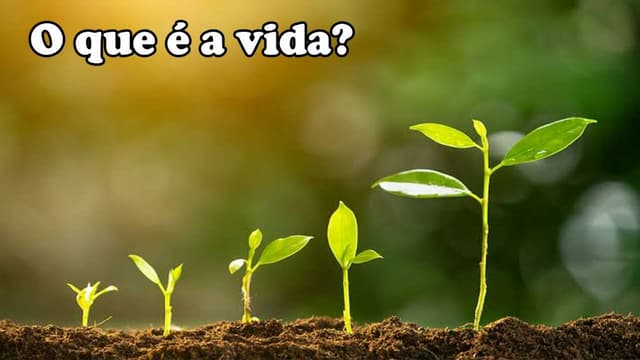 O que é a vida, uma apresentação para aulas | PPTX