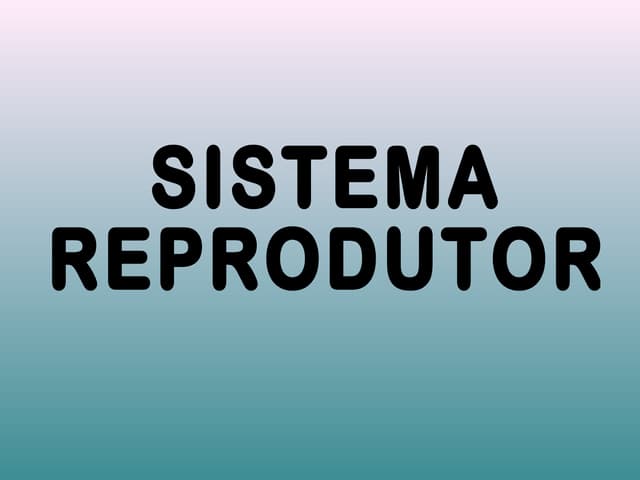 O sistema reprodutor Masculino e Fe...