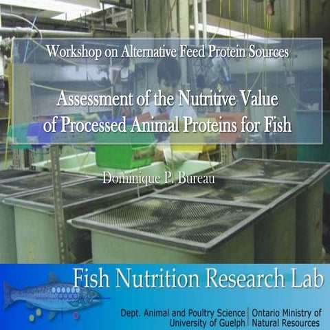 Bureau DP 2010 Assessment of the Nutritive Value of Animal Proteins  XIV ISFNF