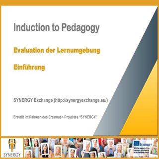 SYNERGY Induction to Pedagogy Progr...