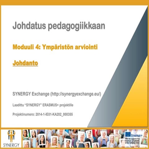 SYNERGY Induction to Pedagogy Programme - Evaluation of the Environment (FINN...