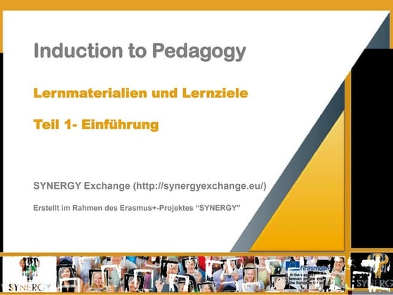 SYNERGY Induction to Pedagogy Programme - Learning Materials and Objectives (...