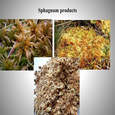 Vertical and landscape gardening