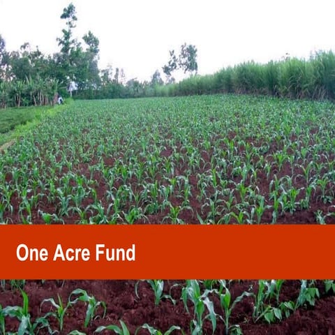 One Acre Fund - Tanzania
