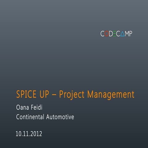 Oana Feidi - SPICE-UP Project Management