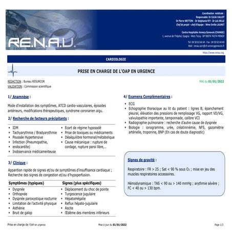 oap.pdf