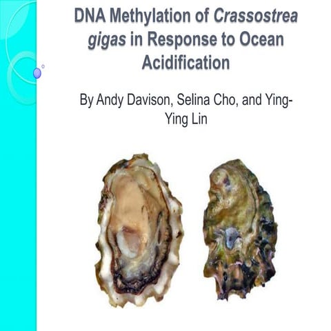 FISH441: Oysters, acidification and methylation