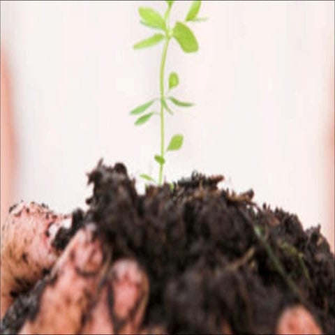 Organic Agriculture Principles  Jap Asence