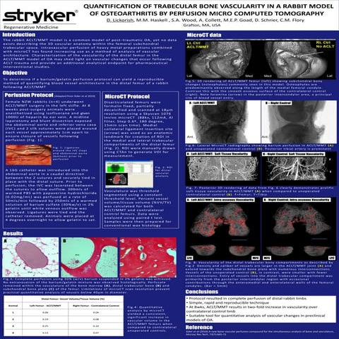 Abstract Poster by W. L. Gore & Associates | PDF