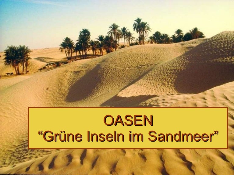 Oasenformen | Vegetationszone: Oase – ADETVC