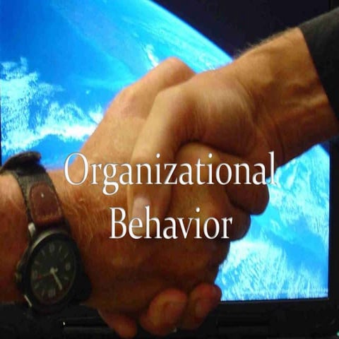 Organizational Behaviour