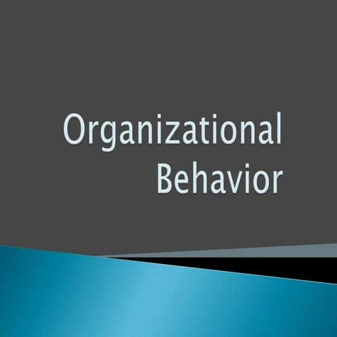 Comprehensive Overview of Organizational Behavior and Performance ...