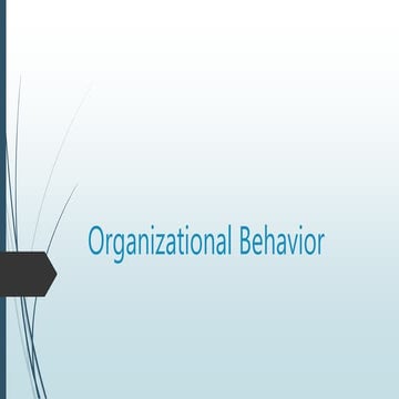organizational Behavior