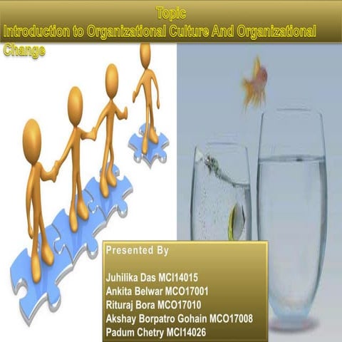 Organisational Culture and Organisational Change