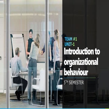 Organisational behaviour 