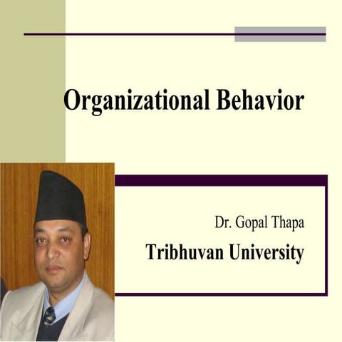 organizational behavior.ppt