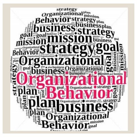 OB - Session 1.pptx, Introduction of OB.