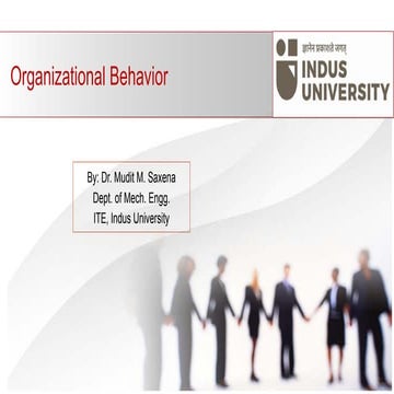 ORGANIZTIONAL BEHAVIOR IN INDUSTRIES, INTRODUCTION