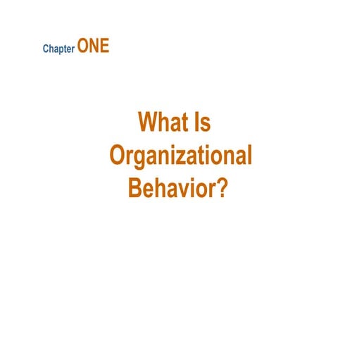 CHAPTER 1 - WHAT IS ORGANIZATION BEHAVIOR FINAL.ppt.pptx