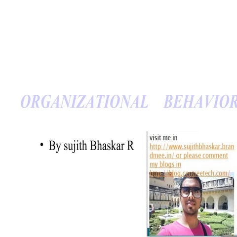 Ob6 ORGANIZATIONAL BEHAVIOR 6